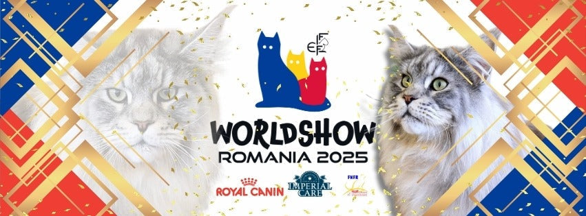 Ne vedem la FIFE World Show 2025! 🐱